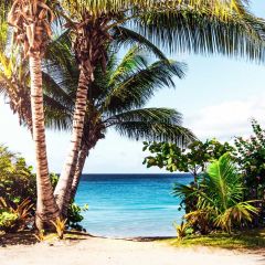 Tree Sea Photography Scenery Backdrop Ocean Theme Banner BVU-789