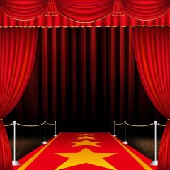 Pillar Carpet Photography Scenery Backdrop Stage Carpet Theme Banner BVU-792