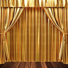 Curtain Golden Photography Scenery Backdrop Stage Carpet Theme Banner BVU-793
