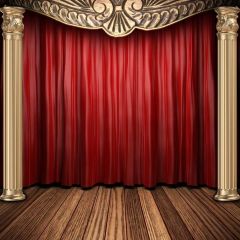 Pillar Curtain Floor Photography Scenery Backdrop Stage Carpet Theme Banner BVU-794