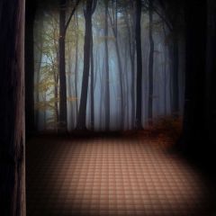 Tree Light Photography Scenery Backdrop Nature Theme Banner BVU-799