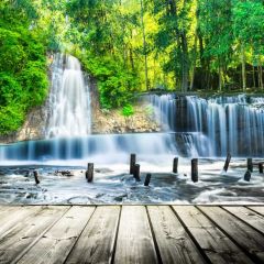 Fall Tree Photography Scenery Backdrop Nature Theme Banner BVU-804