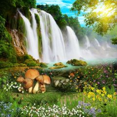 Fall Mashroom Photography Scenery Backdrop Nature Theme Banner BVU-807