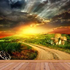 Road Light Photography Scenery Backdrop Nature Theme Banner BVU-809