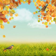 Bird Grass Photography Scenery Backdrop Nature Theme Banner BVU-816
