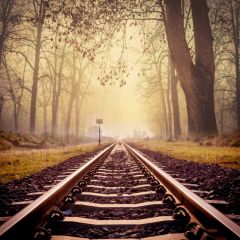 Trail Tree Photography Scenery Backdrop Road Theme Banner BVU-817