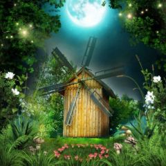 Moon Tree Photography Scenery Backdrop Nature Theme Banner BVU-825