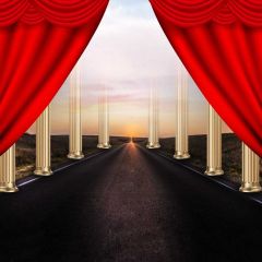 Pillar Curtain Photography Scenery Backdrop Stage Carpet Theme Banner BVU-828