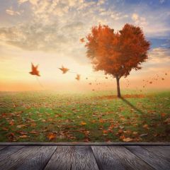 Tree Sunset Bird Grass Photography Scenery Backdrop Nature Theme Banner BVU-833