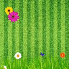 Grassland Butterfly Folwer Photography Scenery Backdrop Wall Theme Banner BVU-840