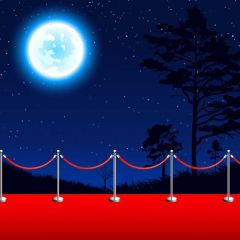 Pillar Moon Carpet Photography Scenery Backdrop Stage Carpet Theme Banner BVU-842