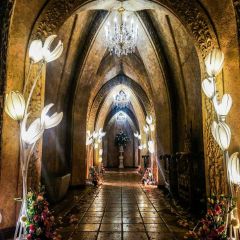 Light Door Photography Scenery Backdrop Indoor Theme Banner BVU-848