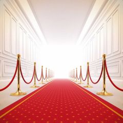 Pillar Carpet Photography Scenery Backdrop Stage Carpet Theme Banner BVU-857