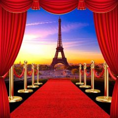 Pillar Carpet Tower Photography Scenery Backdrop Stage Carpet Theme Banner BVU-858