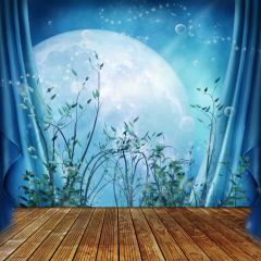Floor Moon Photography Scenery Backdrop Indoor Theme Banner BVU-862