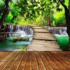 Fall Tree Photography Scenery Backdrop Nature Theme Banner BVU-869