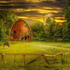 Farmland House Photography Scenery Backdrop Nature Theme Banner BVU-878