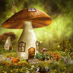 Plant Light Photography Scenery Backdrop Nature Theme Banner BVU-879