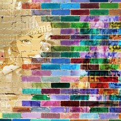 Color Face Photography Scenery Backdrop Wall Theme Banner BVU-883