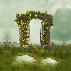 Grass Sky Photography Scenery Backdrop Nature Theme Banner BVU-890