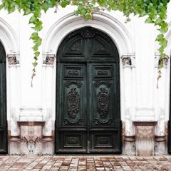 Door Plant Photography Scenery Backdrop Door Theme Banner BVU-917