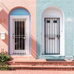 Door Plant Photography Scenery Backdrop Door Theme Banner BVU-918