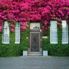 Door Flower Photography Scenery Backdrop Door Theme Banner BVU-921