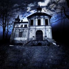 House Tree Photography Scenery Backdrop Housing Theme Banner BVU-929