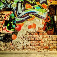 Graffiti Color Photography Scenery Backdrop Graffiti Theme Banner BVU-930