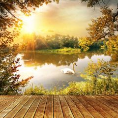 Goose Tree Sunlight Photography Scenery Backdrop Nature Theme Banner BVU-931