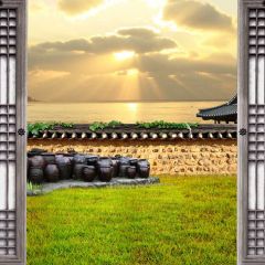 Grass Sunlight Photography Scenery Backdrop Nature Theme Banner BVU-945