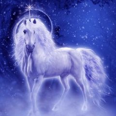 Horse Star Photography Scenery Backdrop Fantasy Theme Banner BVU-946