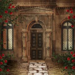 Door Road Photography Scenery Backdrop Door Theme Banner BVU-959