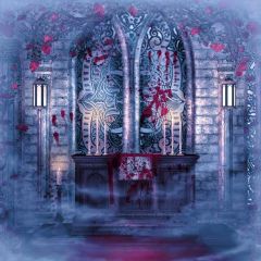 Door Light Photography Scenery Backdrop Door Theme Banner BVU-960