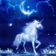 Horse Moon Photography Scenery Backdrop Fantasy Theme Banner BVU-961