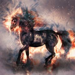 Horse Fire Photography Scenery Backdrop Fantasy Theme Banner BVU-962