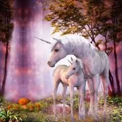 Horse Fall Photography Scenery Backdrop Fantasy Theme Banner BVU-963