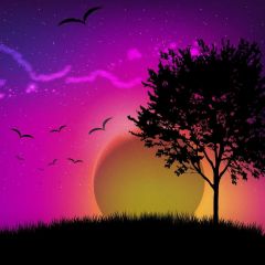 Tree Sun Photography Scenery Backdrop Nature Theme Banner BVU-969