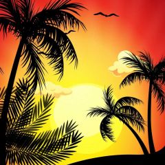 Tree Bird Photography Scenery Backdrop Ocean Theme Banner BVU-971