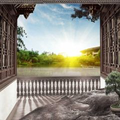 Lights Tree Photography Scenery Backdrop Balcony Landscape Theme Banner BVU-984