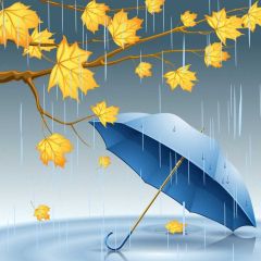 Rain Leaf Photography Scenery Backdrop Cartoon Theme Banner BVU-988