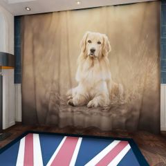 Golden Retriever Scottish Breed Dog Window Curtains CUR-0028