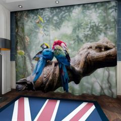 Macaw Birds Bird Couple Window Curtains CUR-0031