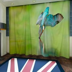 Kingfisher Bird Flying Bird Window Curtains CUR-0032