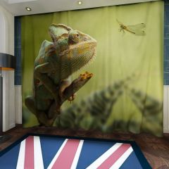Chameleon Dragonfly Window Curtains CUR-0035