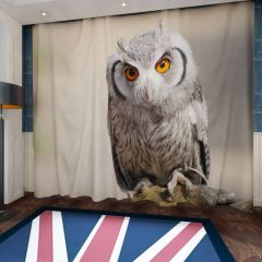 Zwergeule Owl Wildlife Window Curtains CUR-0038