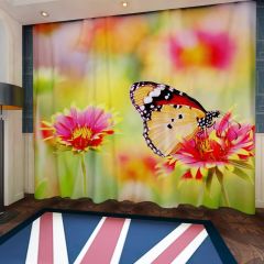Butterfly Pollen Window Curtains CUR-0085