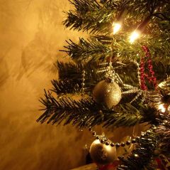 Xmas Tree Closeup Photography Scenery Backdrop Christmas Theme Banner EHY-028