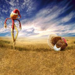 Halloween Scarecrow Photography Scenery Backdrop Halloween Theme Banner EHY-038