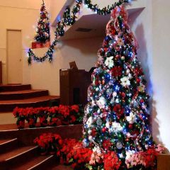 Exquisite Xmas Tree Photography Scenery Backdrop Christmas Theme Banner EHY-042